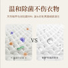 除菌去异味 | 苏尔护士抑菌内衣裤专用洗衣液 母婴衣物可用 清洁洗涤 去血渍去污留香  300ml/瓶*4瓶 商品缩略图3