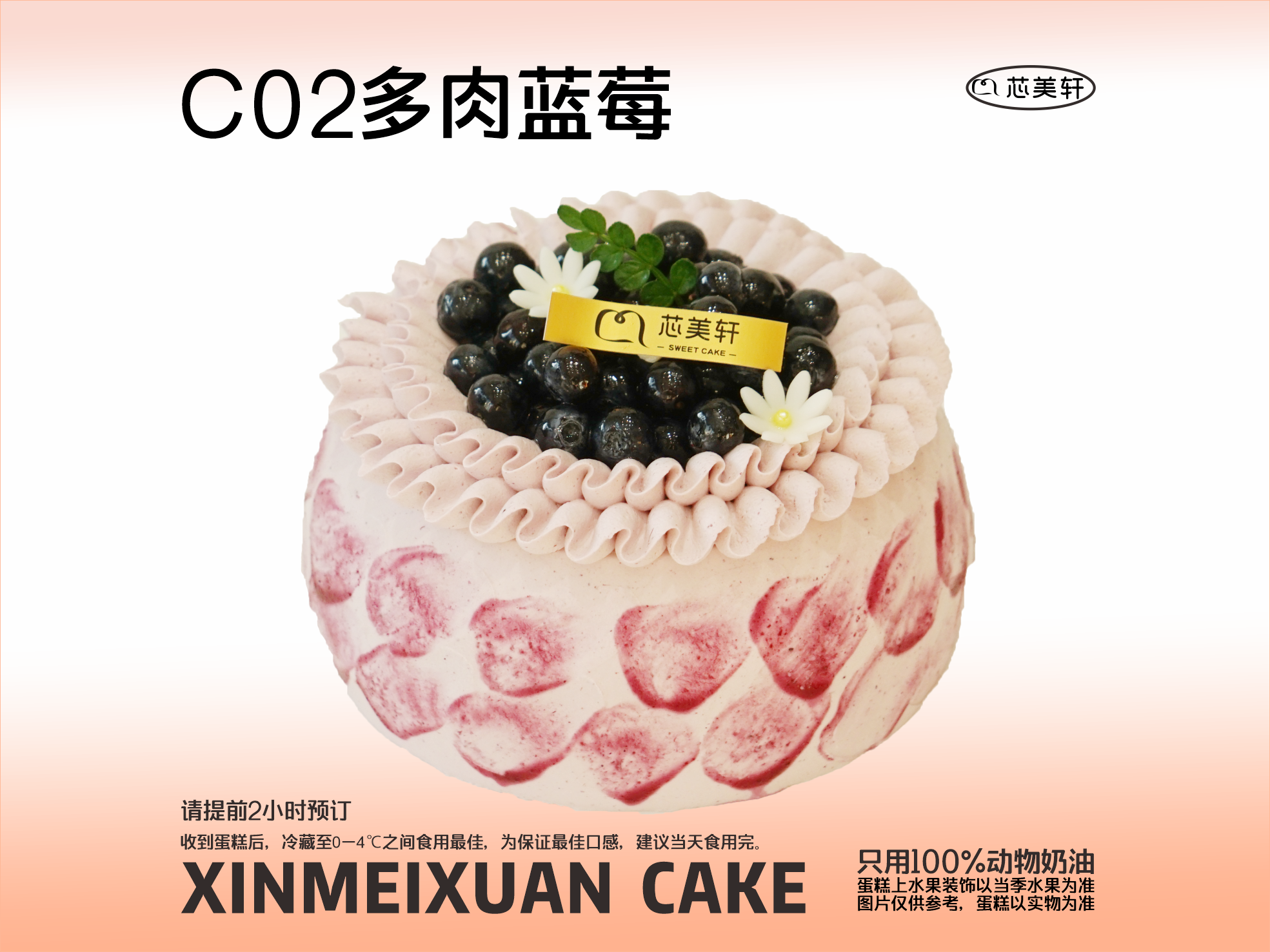 C02多肉蓝莓