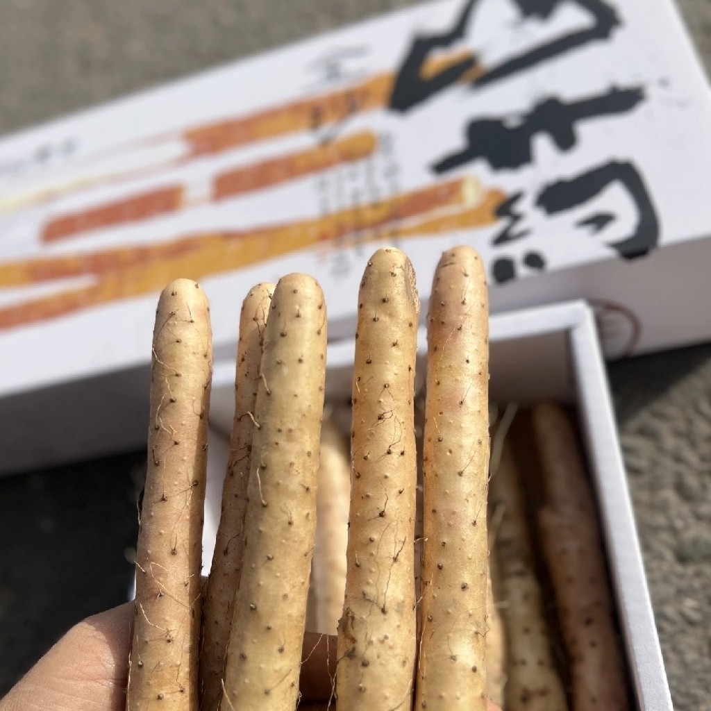 金沙山药【净重约3.2～3.5斤】