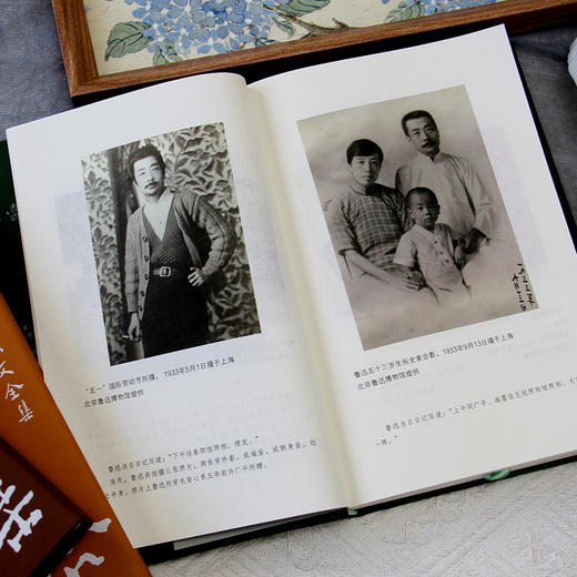 【读懂鲁迅，人生敞亮】鲁迅作品精选（全5册）北京鲁迅博物馆官方授权，小说+散文+杂文+传记，鲁迅作品精华全网罗 商品图6