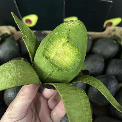 【树熟即食！！收到放冰箱保鲜膜裹紧冷藏】哈斯森林奶油牛油果  香滑软糯  营养丰富  宝宝辅食  顺丰直达 商品图2