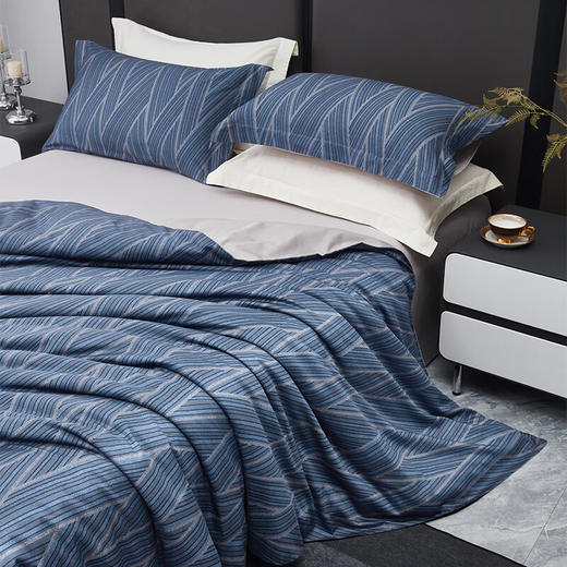 【分仓直发包邮】梦洁60S长绒棉贡缎数码印花抗菌四件套—阡陌.微澜 商品图1