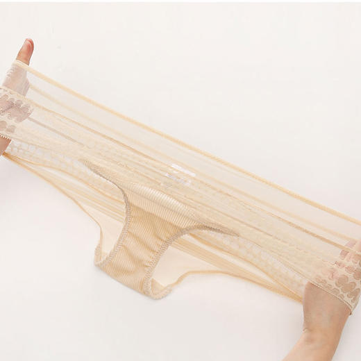 【特价捡漏】官网860！沃尔福te同款 两条装列维丝蕾丝网纱拼接性感低腰三角裤 透气棉质裆内裤底裤女 商品图3