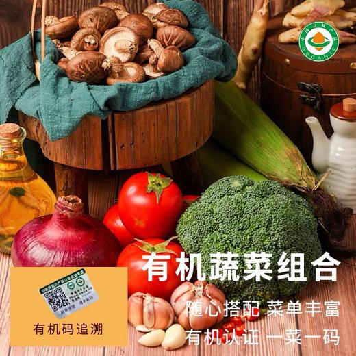 沈佳农有机笋尖350g/袋*3 商品图2