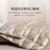 【罗卡芙】B7F ROYALCOVER罗卡芙匈牙利进口  95%鹅绒春秋被 兰特森林 商品缩略图2