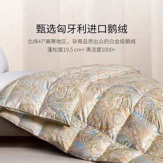 【罗卡芙】B7F ROYALCOVER罗卡芙匈牙利进口  95%鹅绒春秋被 兰特森林 商品图2