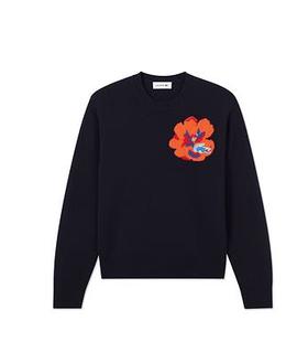 法国鳄鱼LACOSTE女毛衫AF7028-10166