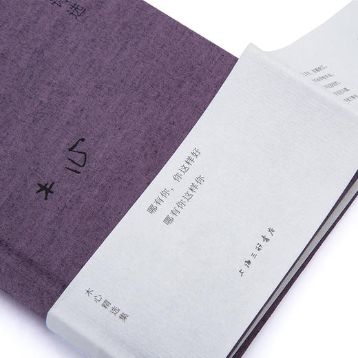 布面精装“木心精选集”《木心诗选》《爱默生家的恶客》《鱼丽之宴》《琼美卡随想录》《豹变》《哥伦比亚的倒影》《温莎墓园日记》 商品图3
