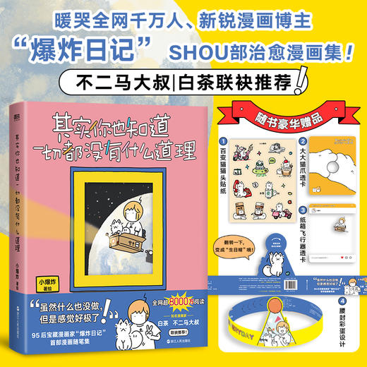 其实你也知道一切都没有什么道理 小爆炸日记 商品图1