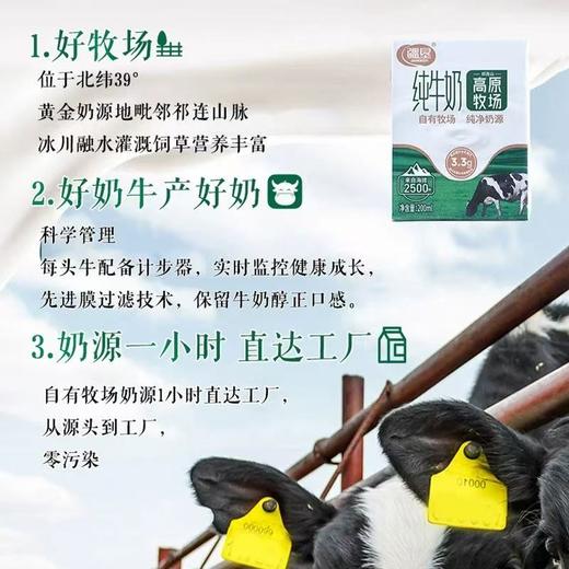 疆垦全脂纯牛奶200ml*20盒 商品图2