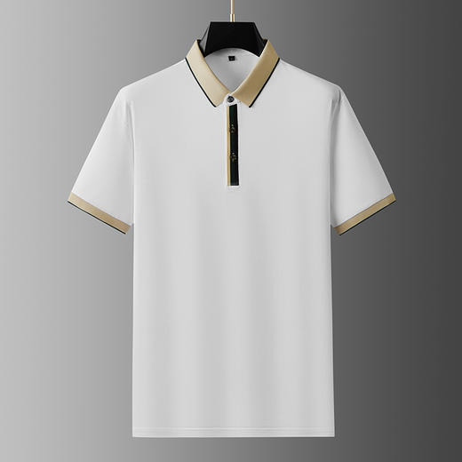 【棉质】【DDA】大依优型大码短袖POLO衫翻领商务休闲透气半袖夏季上衣 商品图0