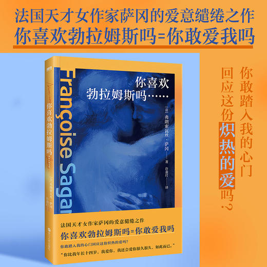 你喜欢勃拉姆斯吗……(法) 弗朗索瓦丝·萨冈著 商品图0