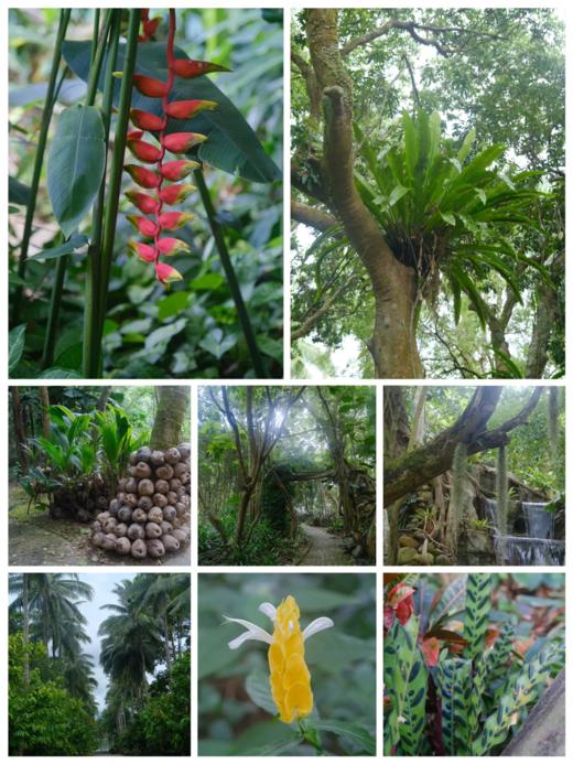 万宁纯玩1日游 商品图1