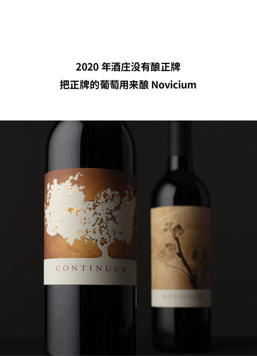 小摇钱树 2020 Continuum Novicium 商品图2