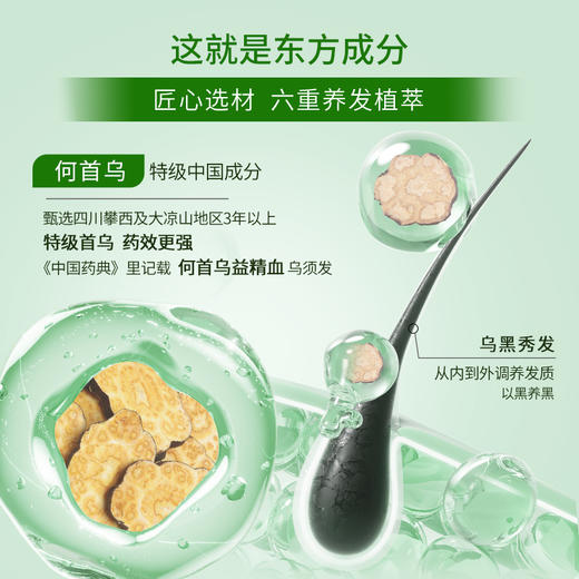 奥妮植物柔亮顺滑洗发露480毫升 商品图1