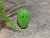 【御珠宫坊】碧玉莲蓬挂件 商品缩略图1