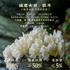 【食养系列】九阳豆浆燕窝银耳食养豆浆粉0添加蔗糖高蛋白营养早餐 商品缩略图3