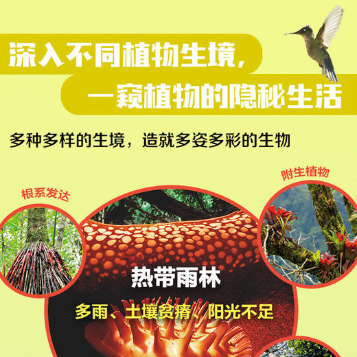 BBC系列： 绿色星球（平装全5册）根据BBC同名纪录片全新改编 附赠原纪录片片段 商品图4