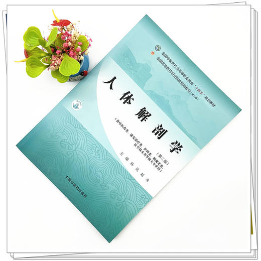 人体解剖学（第二版）杨岚 赵永 主编 全国中医药行业高等职业教育十四五规划教材 中国中医药出版社 商品图1