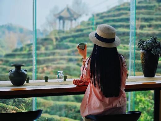 2026春茶采摘【都江堰·茶溪谷】踏春采茶39.8元/人~采茶制茶套票超值享，体验茶文化，学习制茶的过程和工序，劳动成果可带回家哦！ 商品图11