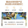 甜杏仁油基础油 30ml/100ml 商品缩略图2