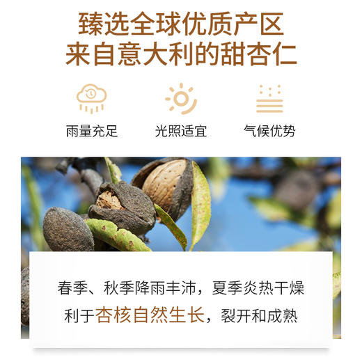 甜杏仁油基础油 30ml/100ml 商品图2