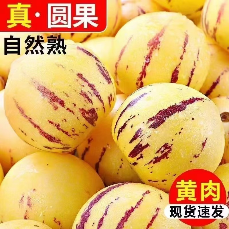 【石林树上熟人参果】糖水小炮弹 清甜多汁 肉质细腻 皮薄肉厚 入口爆汁 5种规格任选