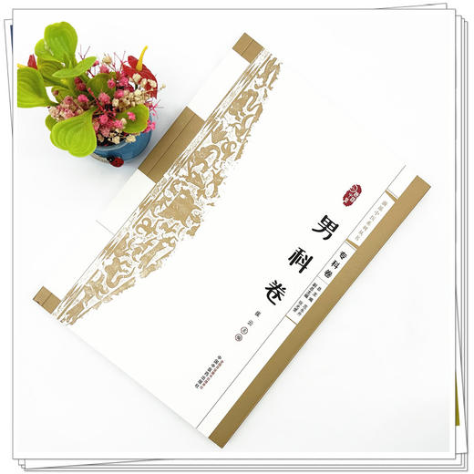 浙派中医:男科卷（专科卷）崔云 主编 中国中医药出版社 浙派中医系列丛书 商品图1