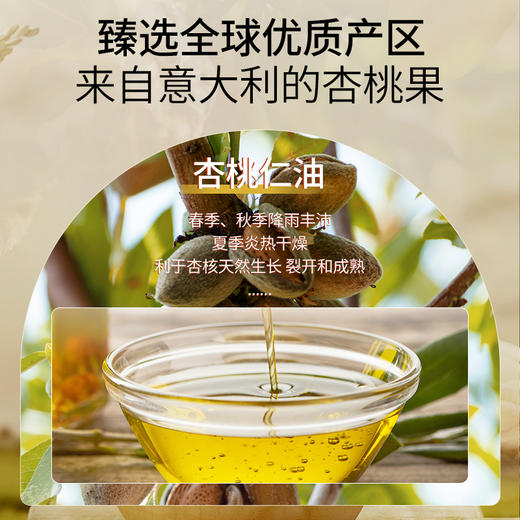 杏桃仁油基础油 30ml/100ml 商品图3