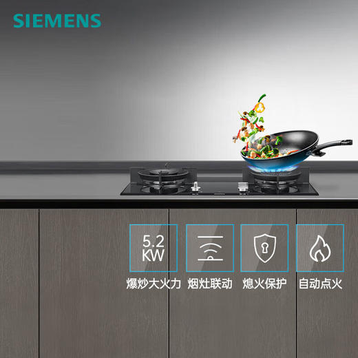 西门子灶具_ER8PR231MP 商品图7