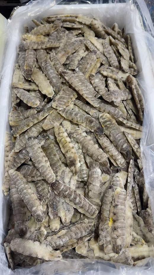 当地原浆生冻虾爬肉，可以煲汤，蒸鸡蛋糕， 炒菜、包饺子、做丸子、特别鲜美，顺丰陆运全国包邮（部分地区需联系客服另补运费，参考规格说明） 商品图2