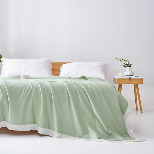 【分仓直发包邮】梦洁抗菌可水洗纯蚕丝夏凉被150×200cm—挽风清竹 商品图2