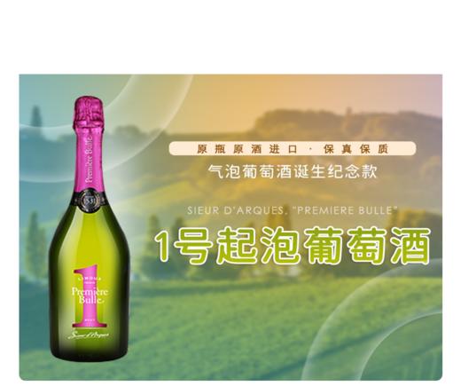 法国-1号起泡酒 商品图1