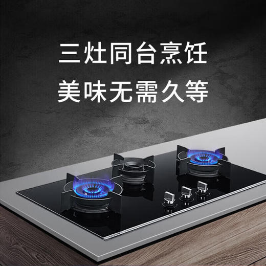 西门子灶具_ER9EPA33MP 商品图0
