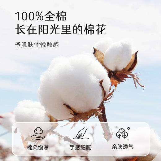 2025年春夏新款雅芳婷卡通全棉套件床笠款AB双面亲肤透气被套床品 商品图1