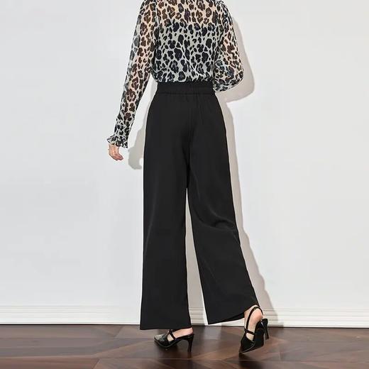 【高货wl】全新升级【铂金会员201/天猫269/差价68】(11422) 洛诗琳春款时尚高级感通勤简约高腰垂坠感宽松西装阔腿裤 商品图1