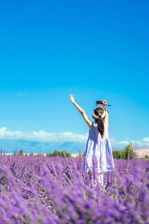 暑期9日【趣游北疆】1家1车环游赛里木湖，入那拉提秘境，穿独库公路，马背旅行…… 商品图2