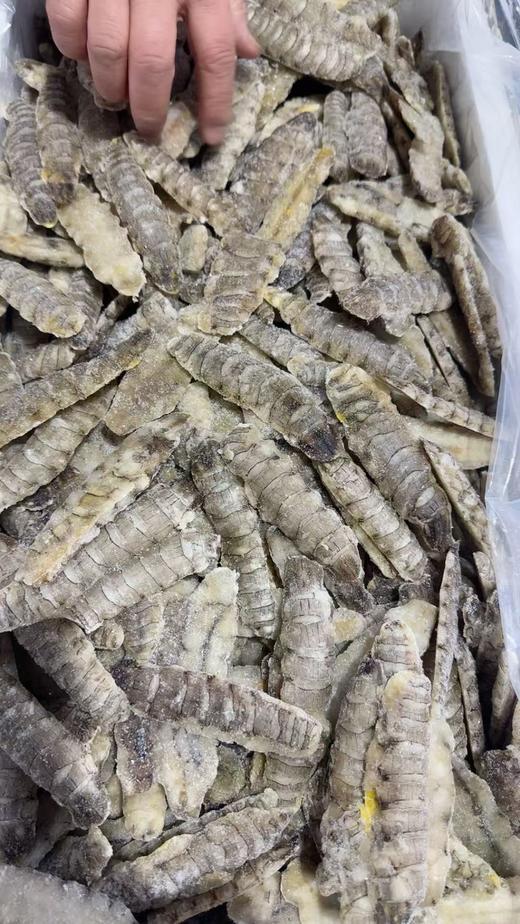 当地原浆生冻虾爬肉，可以煲汤，蒸鸡蛋糕， 炒菜、包饺子、做丸子、特别鲜美，顺丰陆运全国包邮（部分地区需联系客服另补运费，参考规格说明） 商品图1