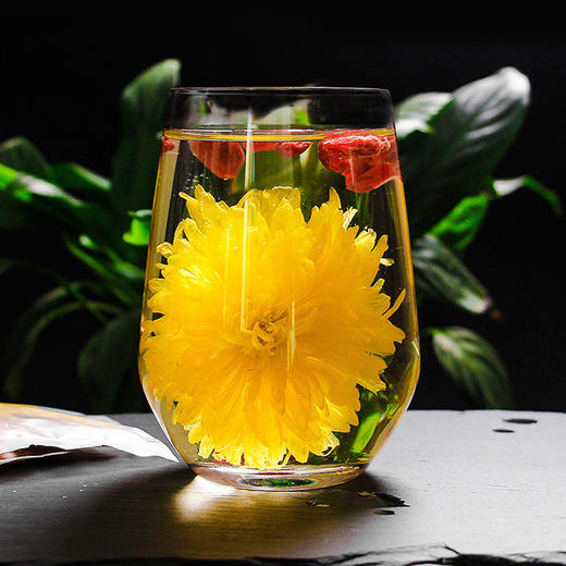 绿帝金丝皇菊18g【XPTX】 商品图7