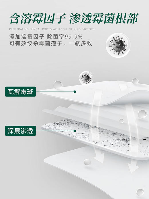 OAKWOOD 奥克伍德除霉啫喱 120g 商品图3