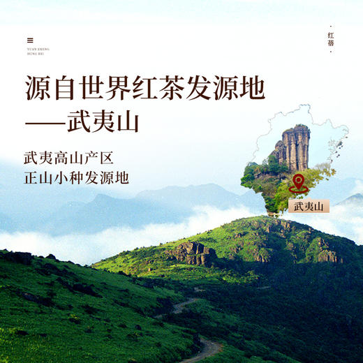 包装改版 元正 茶颜红蓓 浓香型武夷红茶罐装50g/150g 商品图2