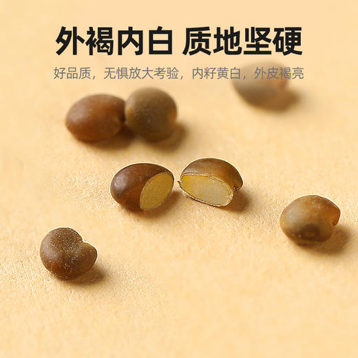 杞里香200g沙苑子，250g圆罐菟丝子，150g五味子，黄芪种子搭配红枸杞，菟丝子，五味子，黄芪等 高吐丝菟丝子 商品图5