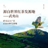 包装改版 元正 茶颜高山1100 特级武夷红茶叶罐装50g/150g 商品缩略图5