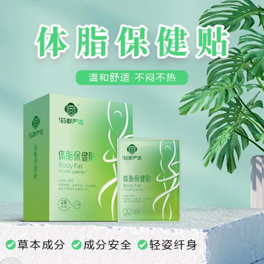 【药都严选】体脂保健贴28贴*1盒 商品图1