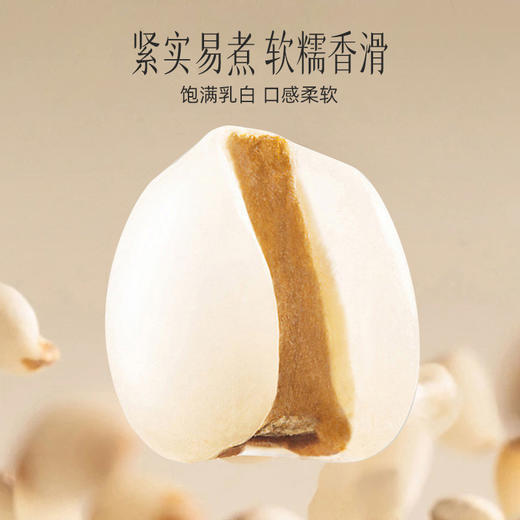 【官方正品】云南白药有这一方薏苡仁500g颗粒饱满薏仁米煮粥搭配莲子百合赤小豆 商品图2