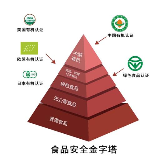 【鲜果成浆 多重维生素 纯浆不加水】得养生有机枸杞原浆 7*30mL/盒*2盒送1袋 商品图4