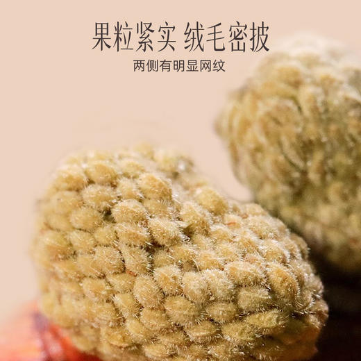 【官方正品】云南白药有这一方覆盆子100g新货男性泡水搭配枸杞黄精沙苑子菟丝子 商品图2