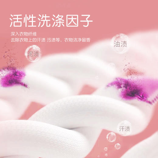 【自营】束渍-多效香氛洗衣液 持久留香 柔顺护衣 除菌除螨洗衣液(2L)	SUZHI-016 商品图6