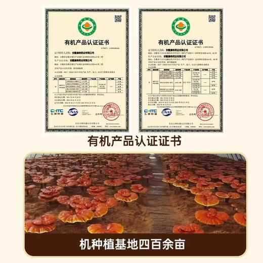 国坤堂 灵芝孢子油软胶囊（买2盒送16粒的体验装1瓶哦） 商品图1