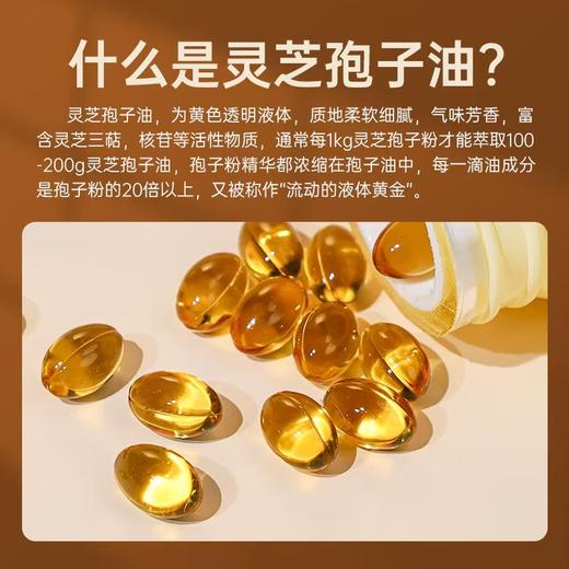 国坤堂 灵芝孢子油软胶囊（买2盒送16粒的体验装1瓶哦） 商品图3